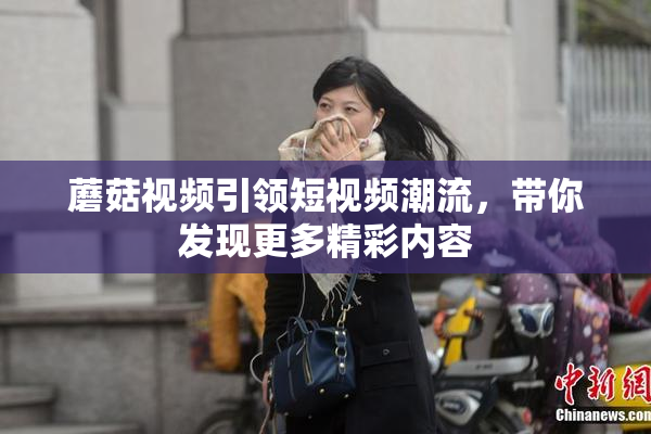 蘑菇视频引领短视频潮流，带你发现更多精彩内容