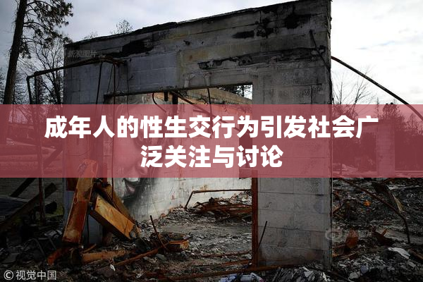 成年人的性生交行为引发社会广泛关注与讨论