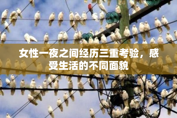 女性一夜之间经历三重考验，感受生活的不同面貌