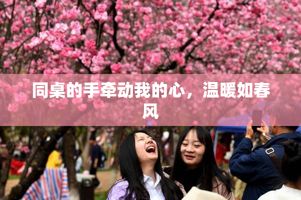 同桌的手牵动我的心，温暖如春风