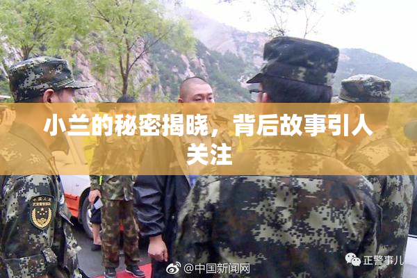 小兰的秘密揭晓，背后故事引人关注
