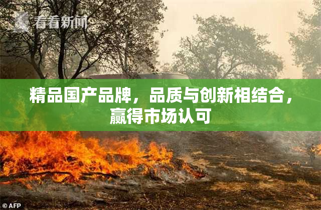 精品国产品牌，品质与创新相结合，赢得市场认可