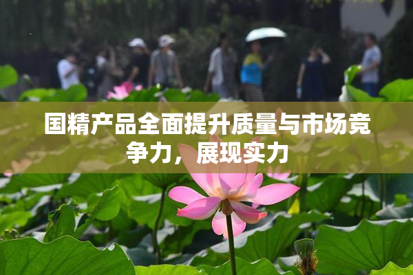 国精产品全面提升质量与市场竞争力，展现实力