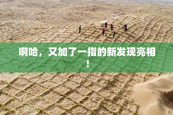 啊哈，又加了一指的新发现亮相！