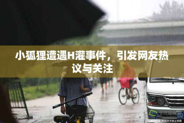 小狐狸遭遇H灌事件，引发网友热议与关注