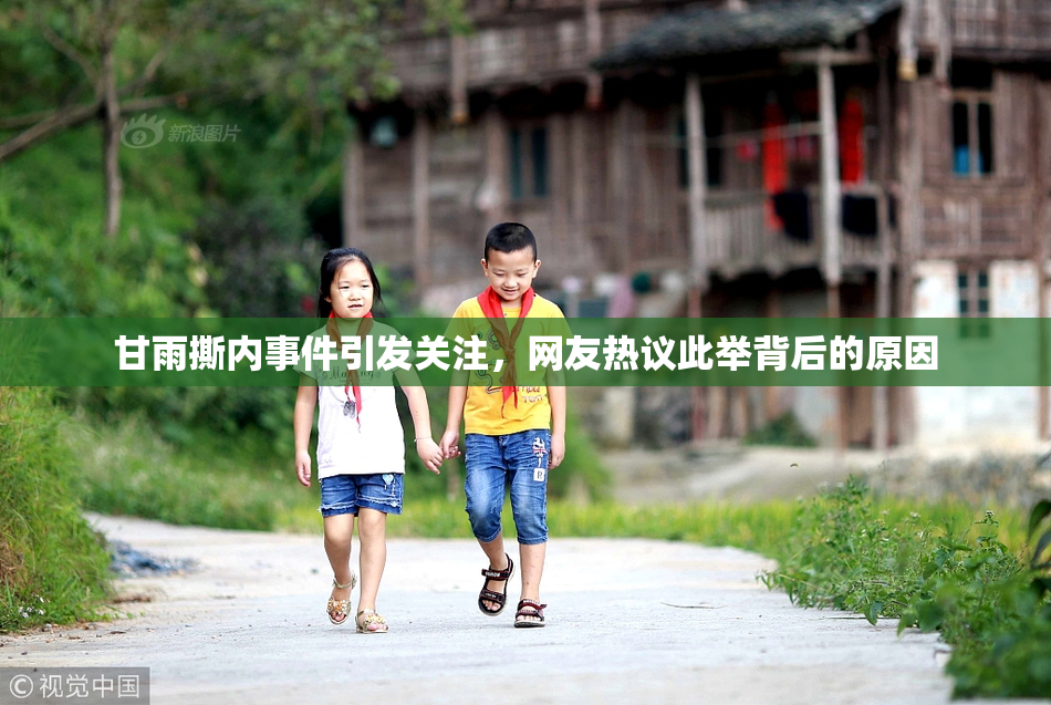 甘雨撕内事件引发关注，网友热议此举背后的原因