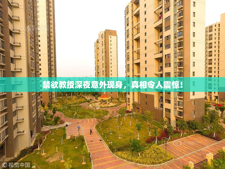 禁欲教授深夜意外现身，真相令人震惊！