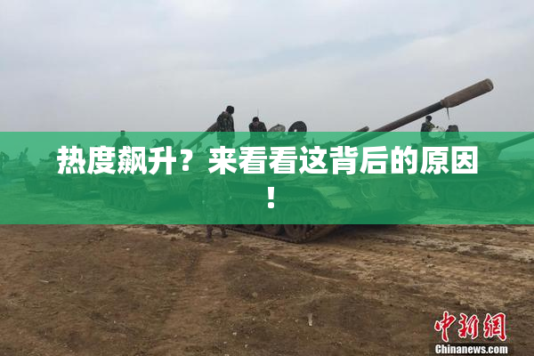 热度飙升？来看看这背后的原因！