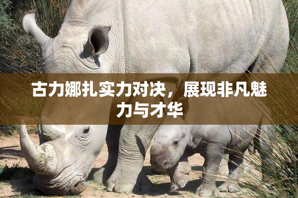 古力娜扎实力对决，展现非凡魅力与才华