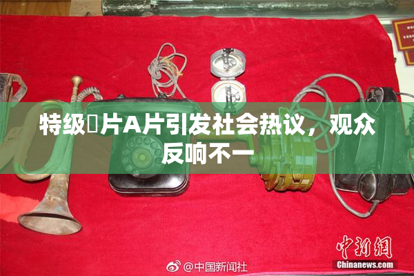 特级婬片A片引发社会热议，观众反响不一