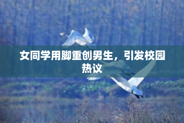 女同学用脚重创男生，引发校园热议