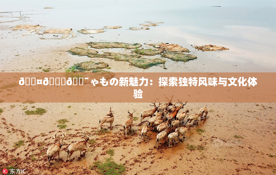 🖤🌃🔯ゃもの新魅力：探索独特风味与文化体验