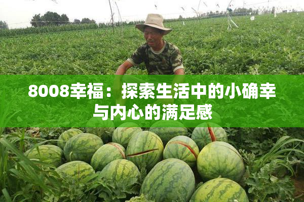 8008幸福：探索生活中的小确幸与内心的满足感
