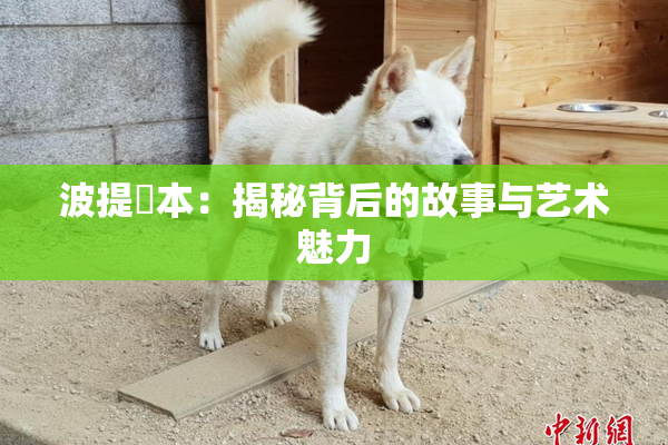 波提歐本：揭秘背后的故事与艺术魅力