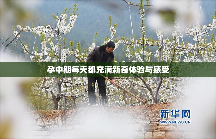 孕中期每天都充满新奇体验与感受