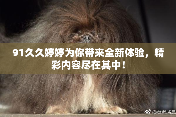 91久久婷婷为你带来全新体验，精彩内容尽在其中！