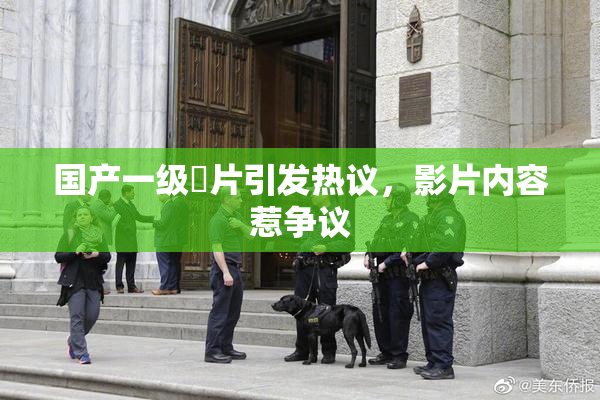 国产一级婬片引发热议，影片内容惹争议