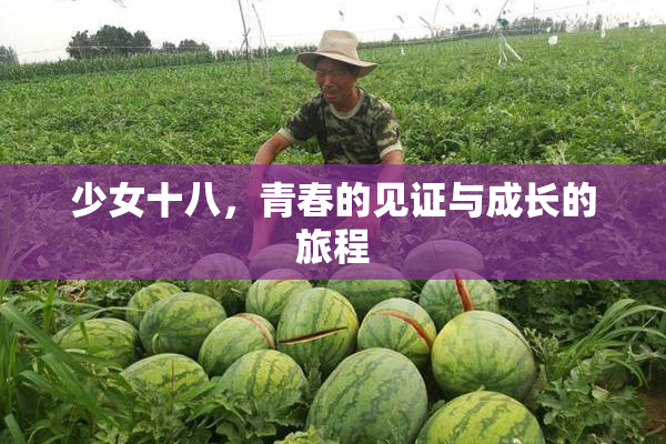 少女十八，青春的见证与成长的旅程