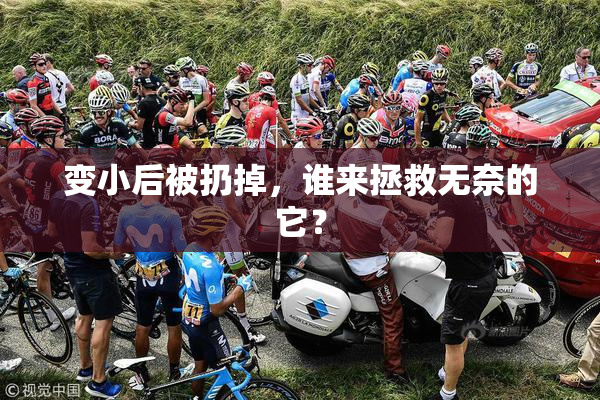 变小后被扔掉，谁来拯救无奈的它？