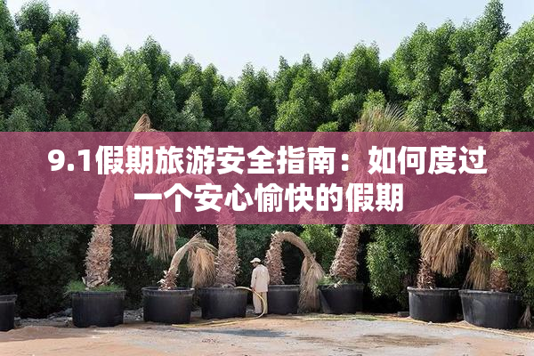 9.1假期旅游安全指南：如何度过一个安心愉快的假期