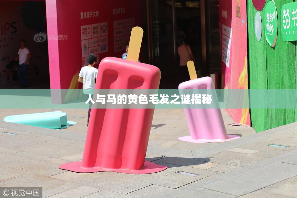 人与马的黄色毛发之谜揭秘