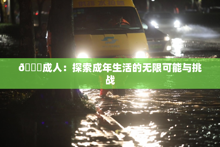 🔞成人：探索成年生活的无限可能与挑战