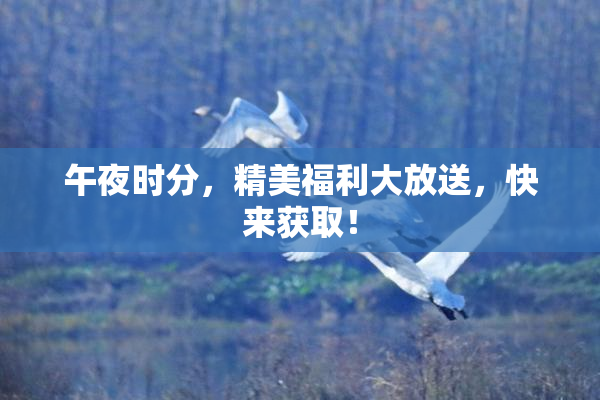 午夜时分，精美福利大放送，快来获取！