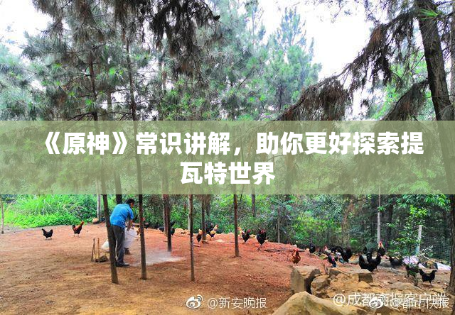 《原神》常识讲解，助你更好探索提瓦特世界