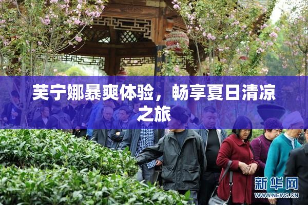 芙宁娜暴爽体验，畅享夏日清凉之旅