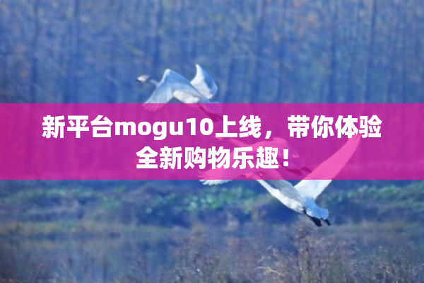 新平台mogu10上线，带你体验全新购物乐趣！