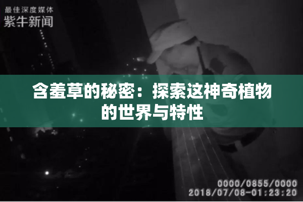 含羞草的秘密：探索这神奇植物的世界与特性