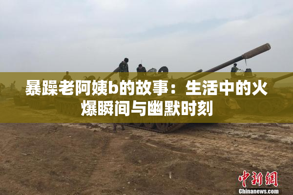 暴躁老阿姨b的故事：生活中的火爆瞬间与幽默时刻