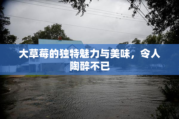 大草莓的独特魅力与美味，令人陶醉不已
