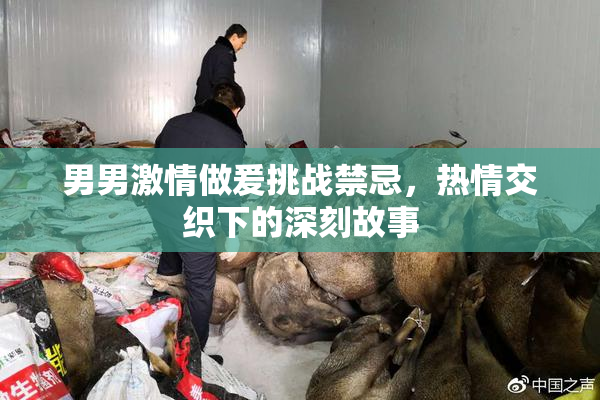 男男激情做爰挑战禁忌，热情交织下的深刻故事