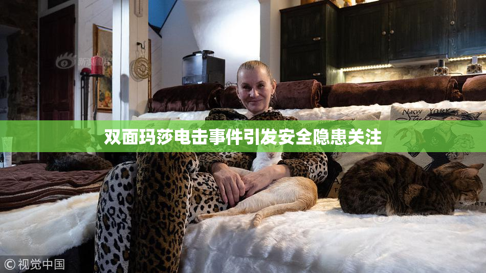 双面玛莎电击事件引发安全隐患关注