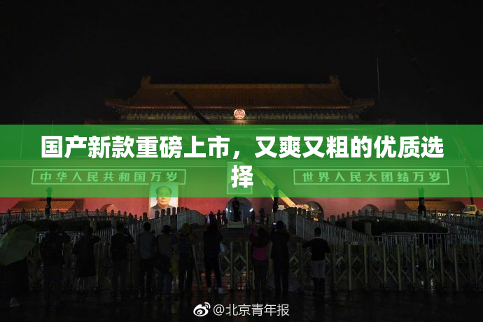 国产新款重磅上市，又爽又粗的优质选择