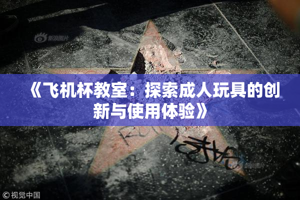 《飞机杯教室：探索成人玩具的创新与使用体验》