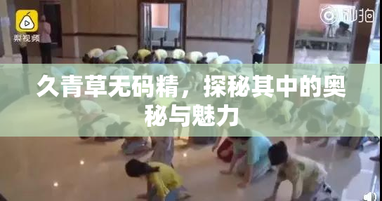 久青草无码精，探秘其中的奥秘与魅力