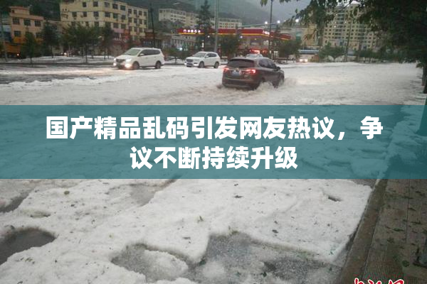 国产精品乱码引发网友热议，争议不断持续升级