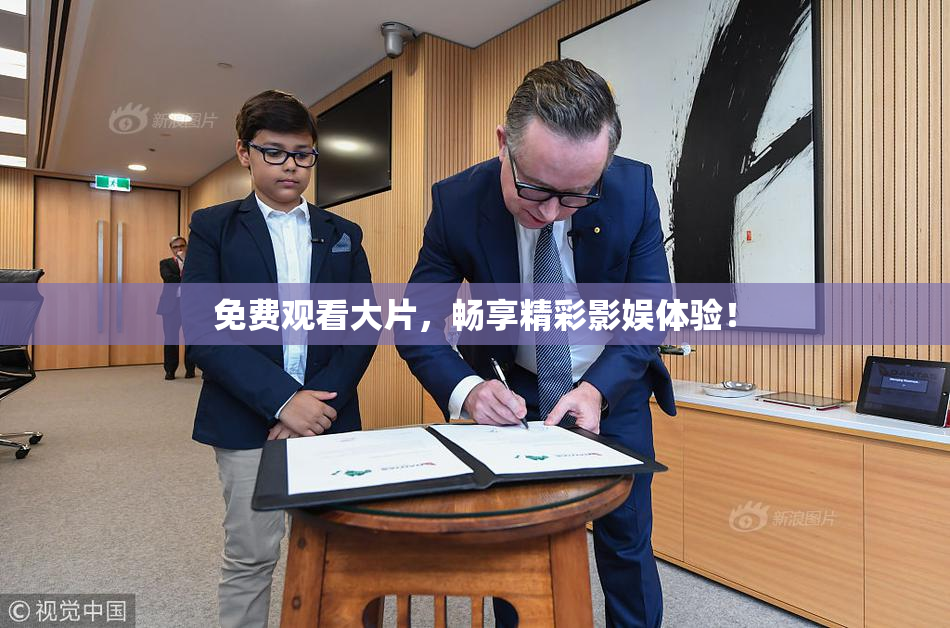免费观看大片，畅享精彩影娱体验！