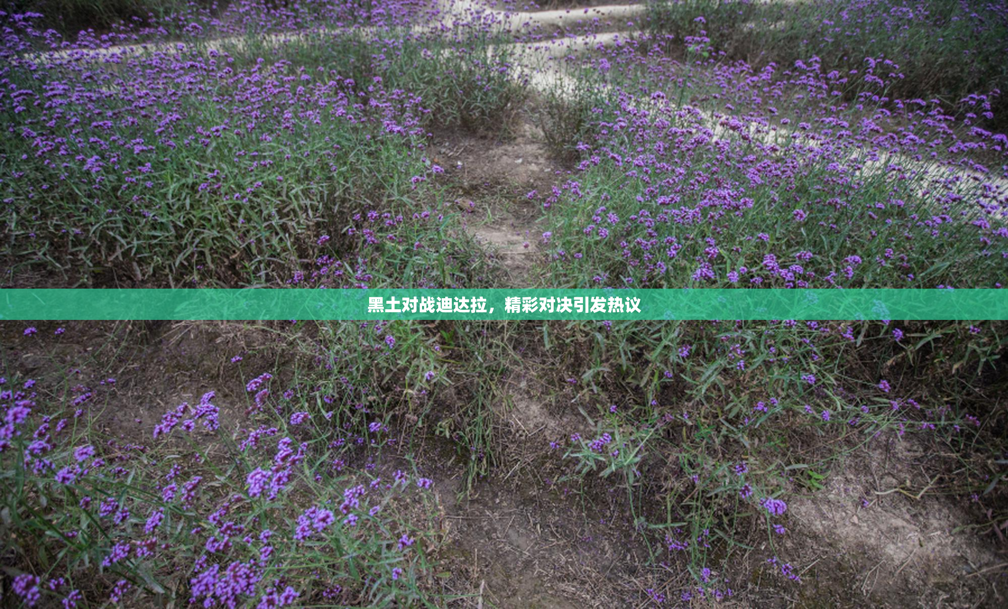 黑土对战迪达拉，精彩对决引发热议