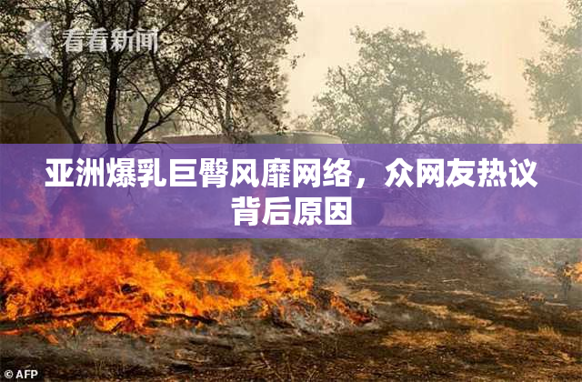 亚洲爆乳巨臀风靡网络，众网友热议背后原因