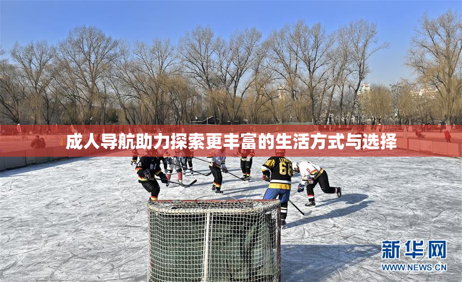 成人导航助力探索更丰富的生活方式与选择