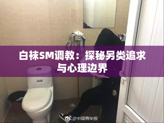 白袜SM调教：探秘另类追求与心理边界
