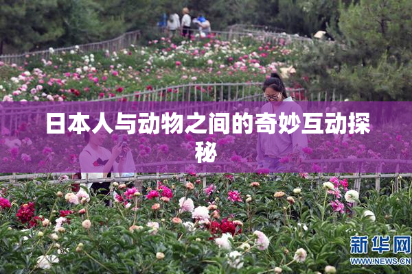 日本人与动物之间的奇妙互动探秘