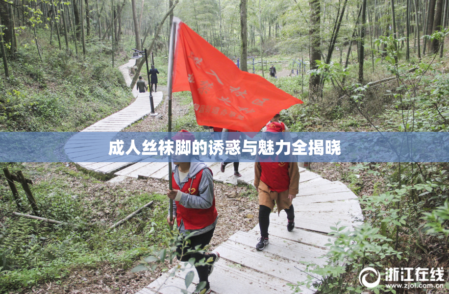 成人丝袜脚的诱惑与魅力全揭晓
