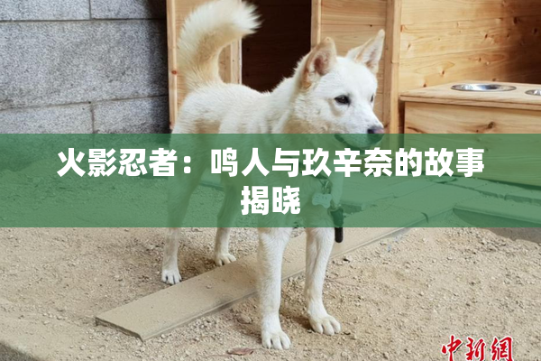 火影忍者：鸣人与玖辛奈的故事揭晓