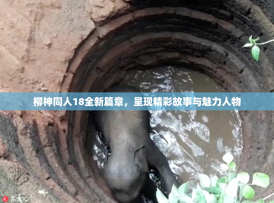 柳神同人18全新篇章，呈现精彩故事与魅力人物