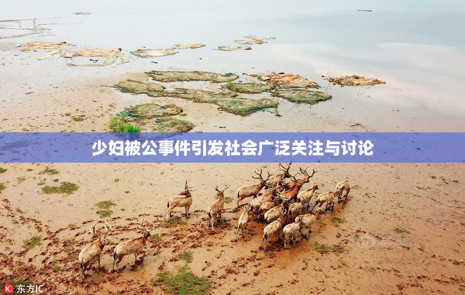 少妇被公事件引发社会广泛关注与讨论