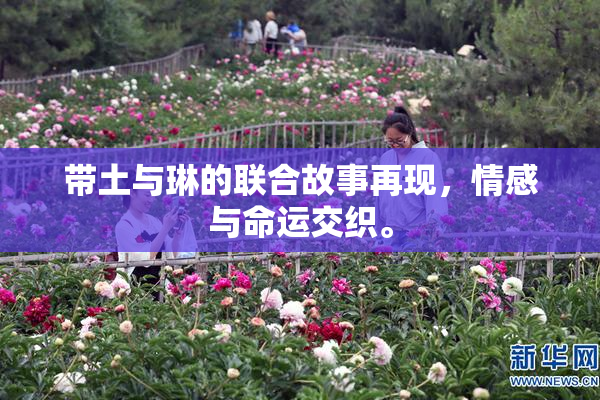 带土与琳的联合故事再现，情感与命运交织。
